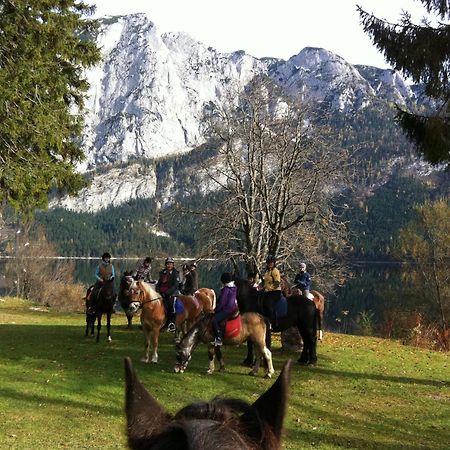 Reitbauernhof Schartner Altaussee Exterior foto