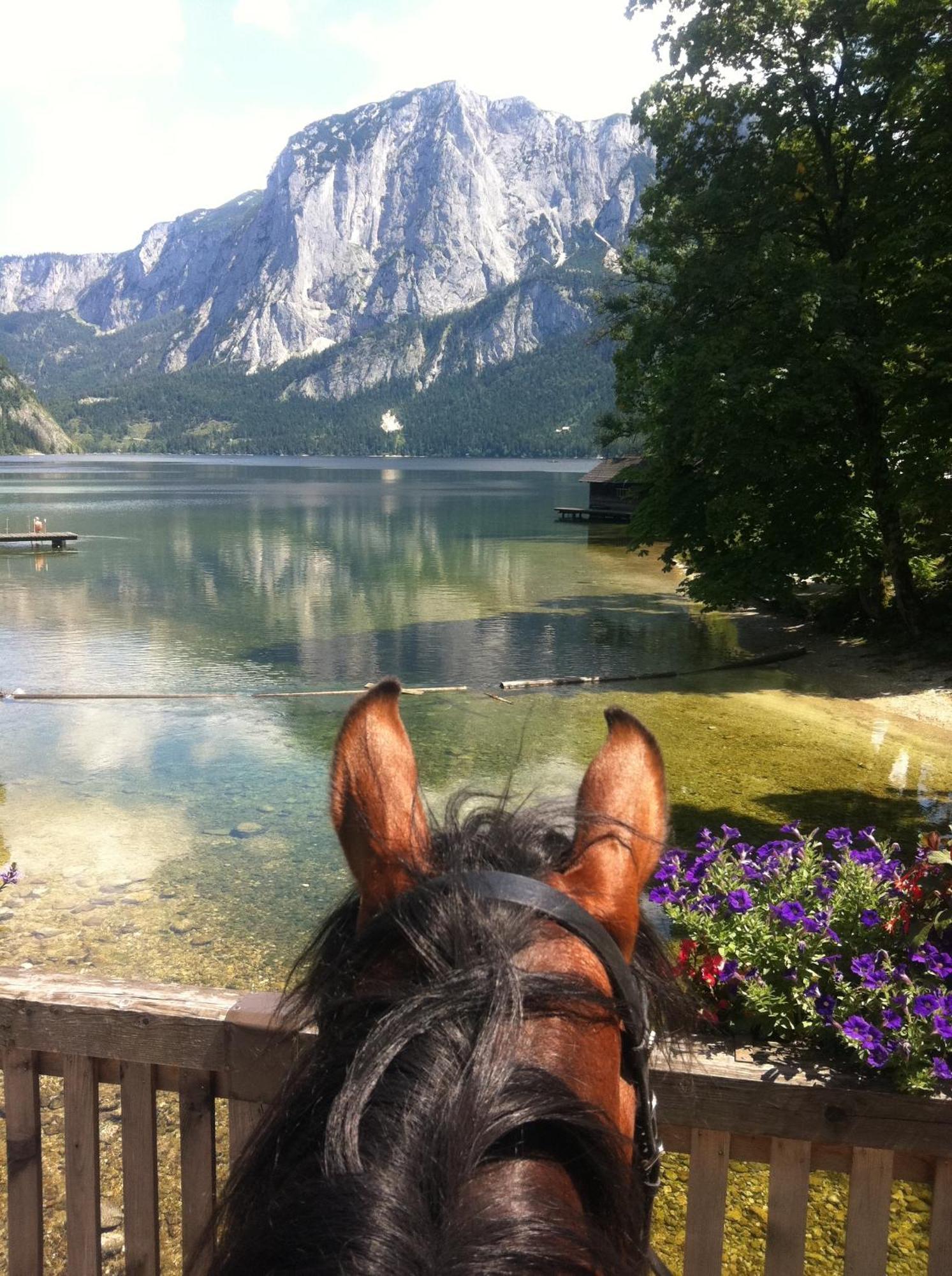 Reitbauernhof Schartner Altaussee Exterior foto
