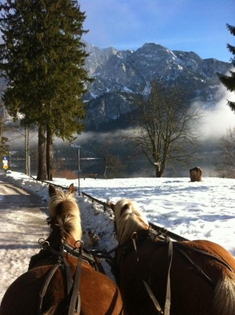 Reitbauernhof Schartner Altaussee Exterior foto